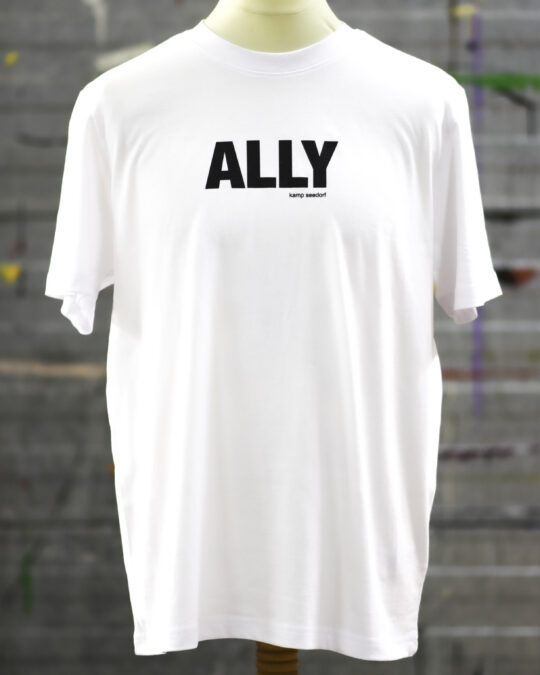 ally wit